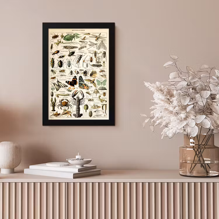Poster met lijst - Dieren - Adolphe Millot - Vintage - Insecten - Kunst — 5