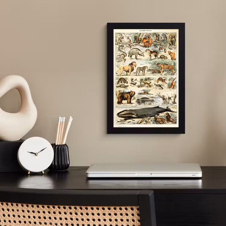 Poster met lijst - Dieren - Vintage - Adolphe Millot - Tijger - Leeuw — 2