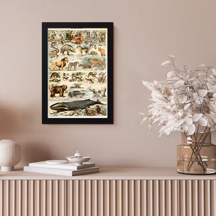 Poster met lijst - Dieren - Vintage - Adolphe Millot - Tijger - Leeuw — 5