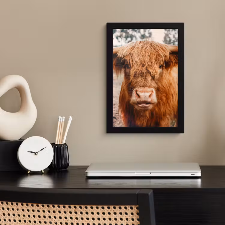 Poster met lijst - Koe- Schotse hooglander - Hoorns - Bruin - Landschap — 2