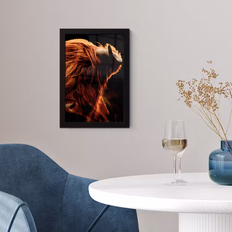 Poster met lijst - Schotse hooglander - Koe - Hoorns - Portret - Dieren — 4
