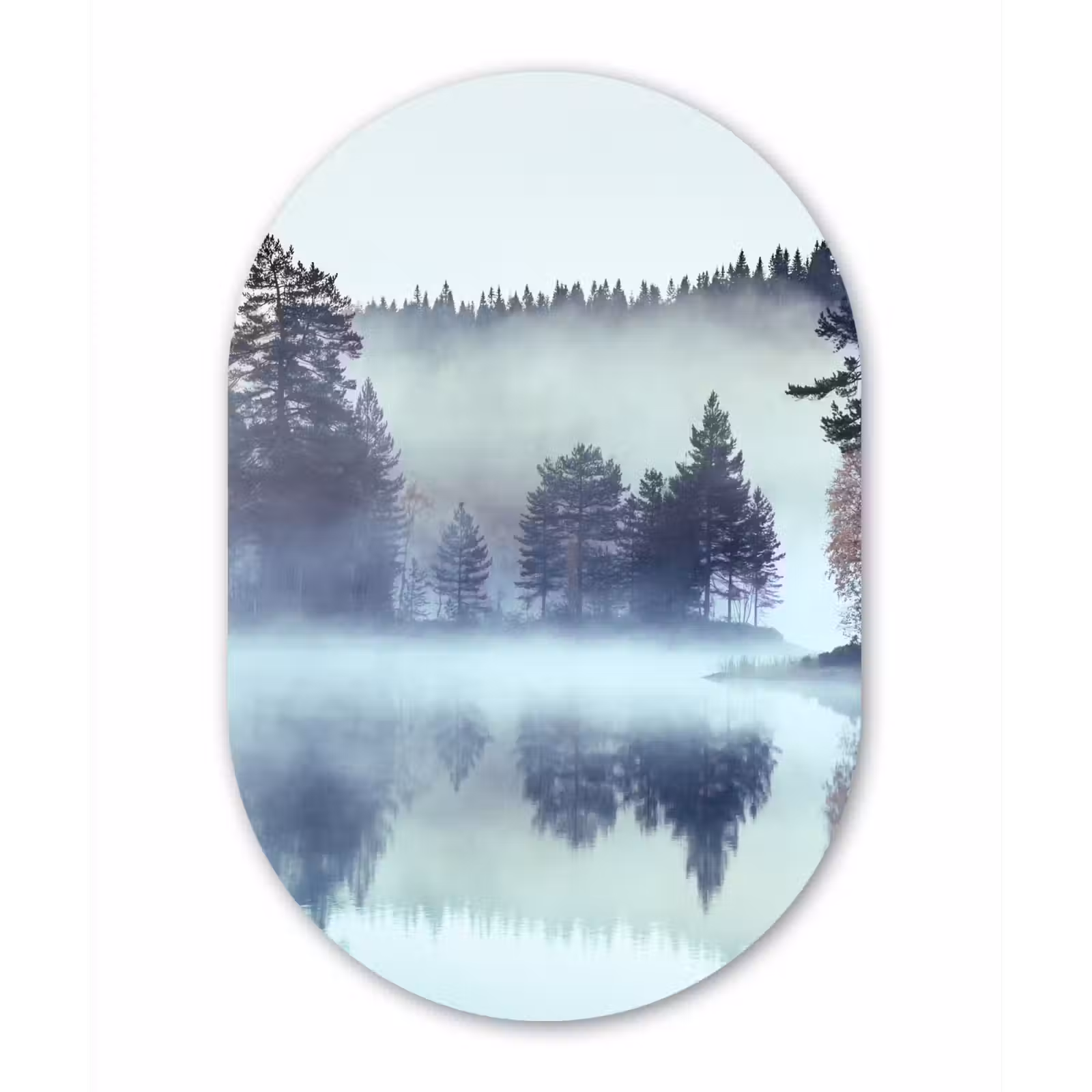Muurovaal - Bos - Mist - Winter — 1