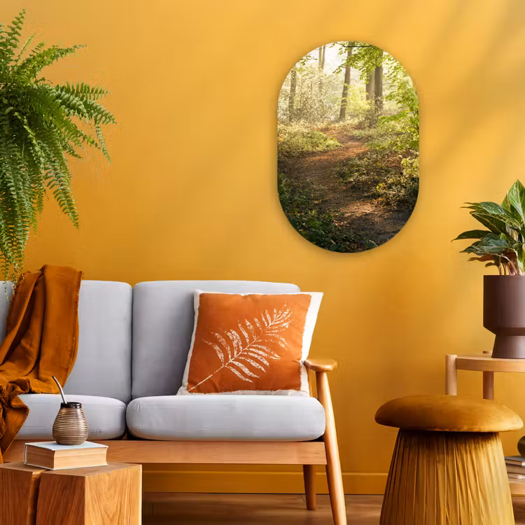 Muurovaal - Bos - Bomen - Pad - Zon - Planten - Bladeren - Natuur — 2