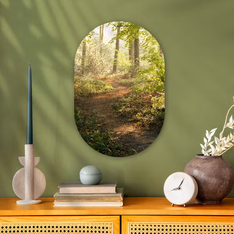 Muurovaal - Bos - Bomen - Pad - Zon - Planten - Bladeren - Natuur — 3