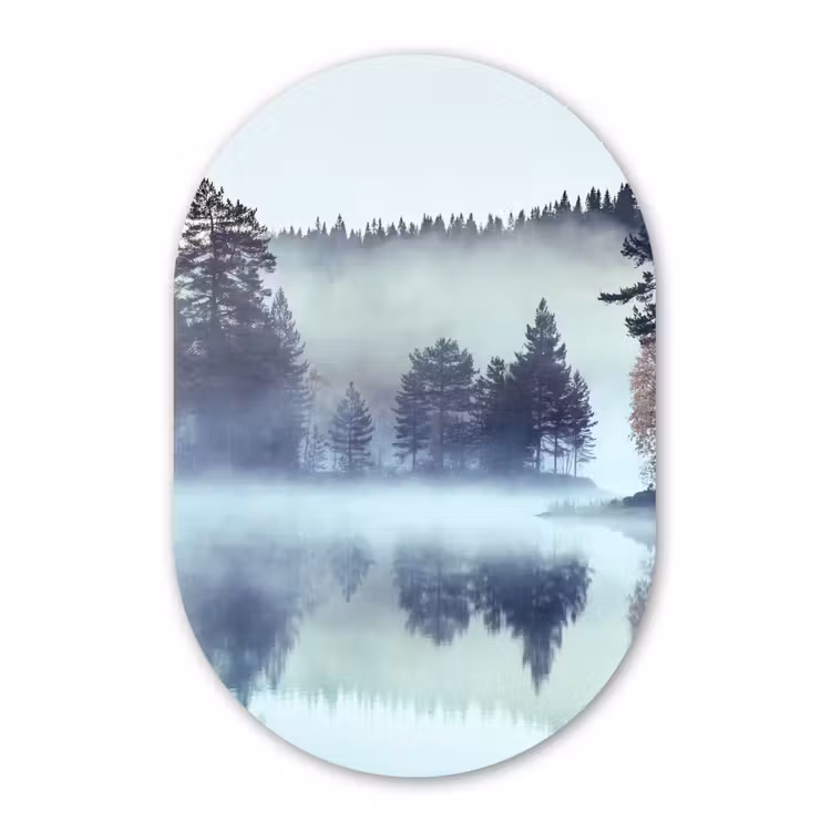 Muurovaal - Bos - Mist - Winter — 1