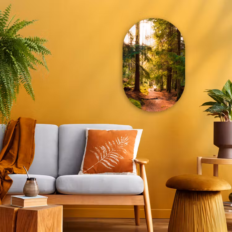 Muurovaal - Bos - Pad - Bomen - Groen - Zon - Natuur — 2