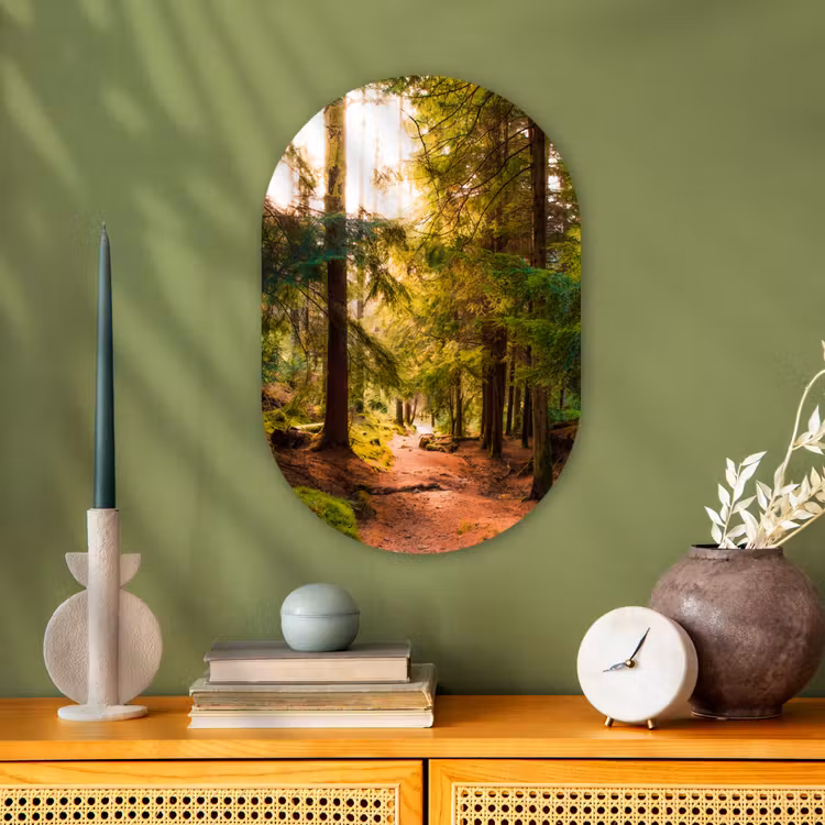 Muurovaal - Bos - Pad - Bomen - Groen - Zon - Natuur — 3