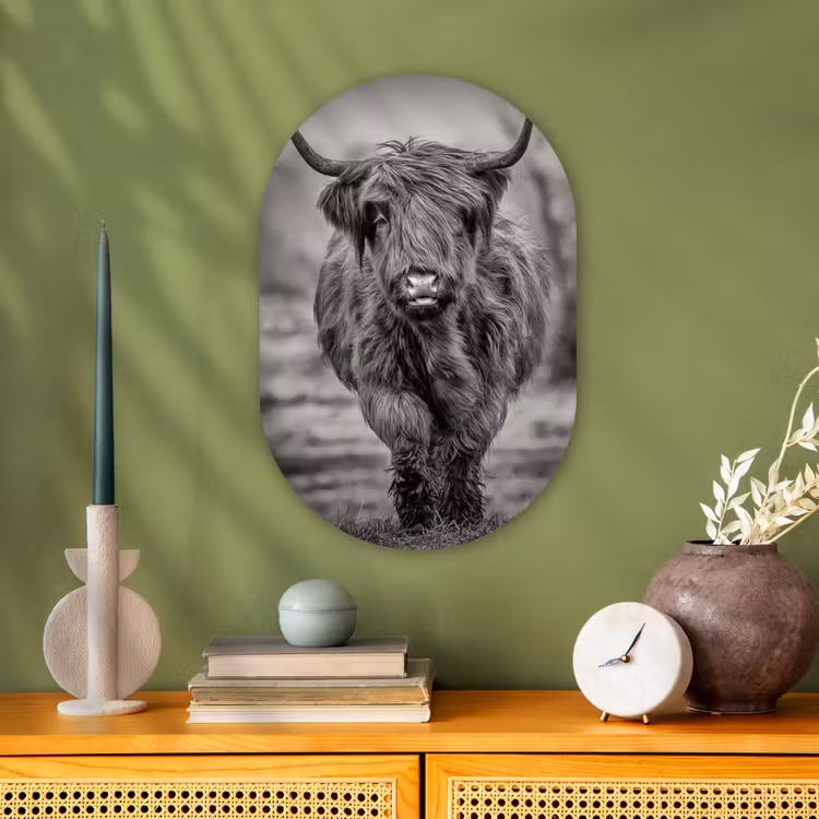 Muurovaal - Schotse Hooglander - Zwart - Wit — 2