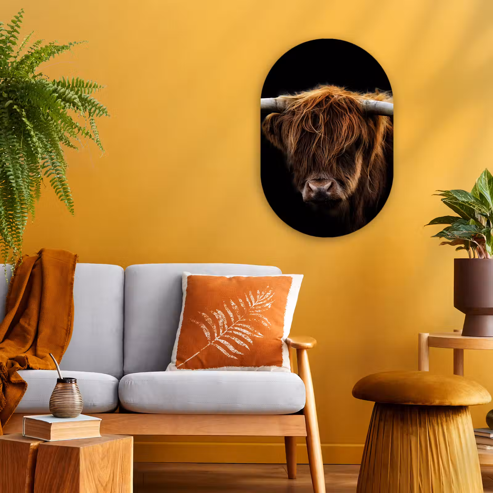 Muurovaal - Schotse Hooglander - Horens - Zwart - Dieren - Natuur - Wild - Koe — 1