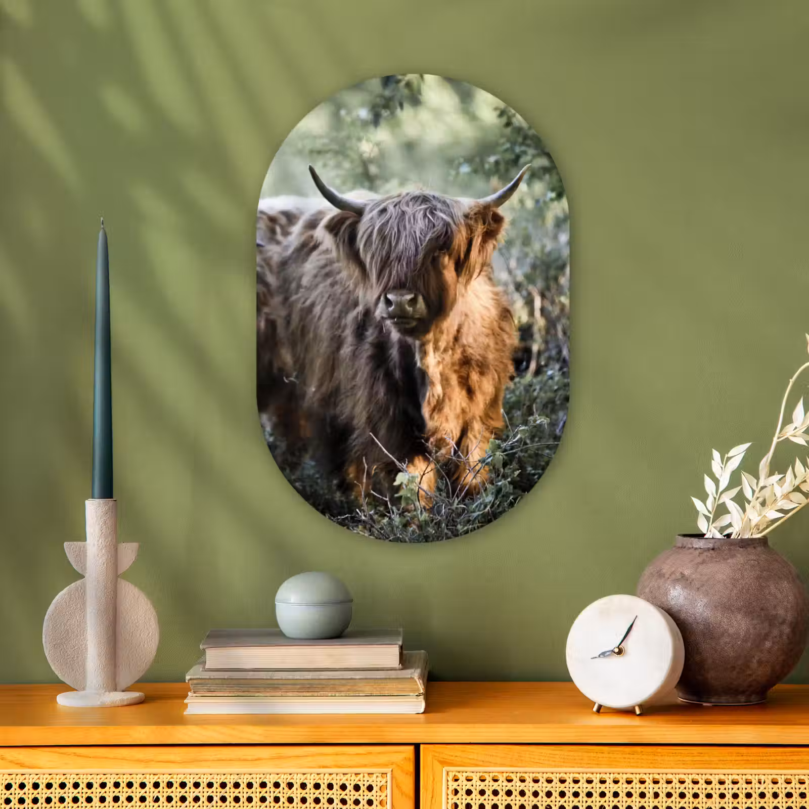 Muurovaal - Schotse Hooglanders - Bos - Dieren — 1