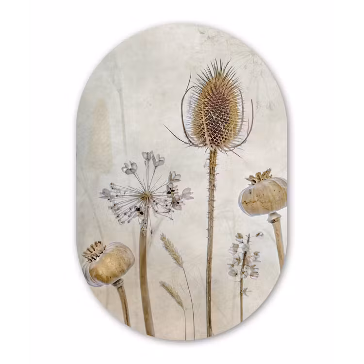 Muurovaal - Bloemen - Waterverf - Stilleven - Bruin - Vintage — 2