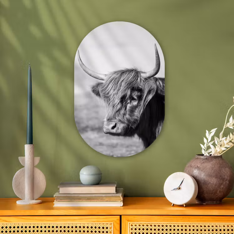 Muurovaal - Schotse Hooglander - Dieren - Zwart - Wit — 1