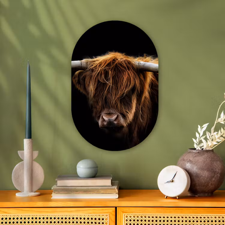Muurovaal - Schotse Hooglander - Horens - Zwart - Dieren - Natuur - Wild - Koe — 3