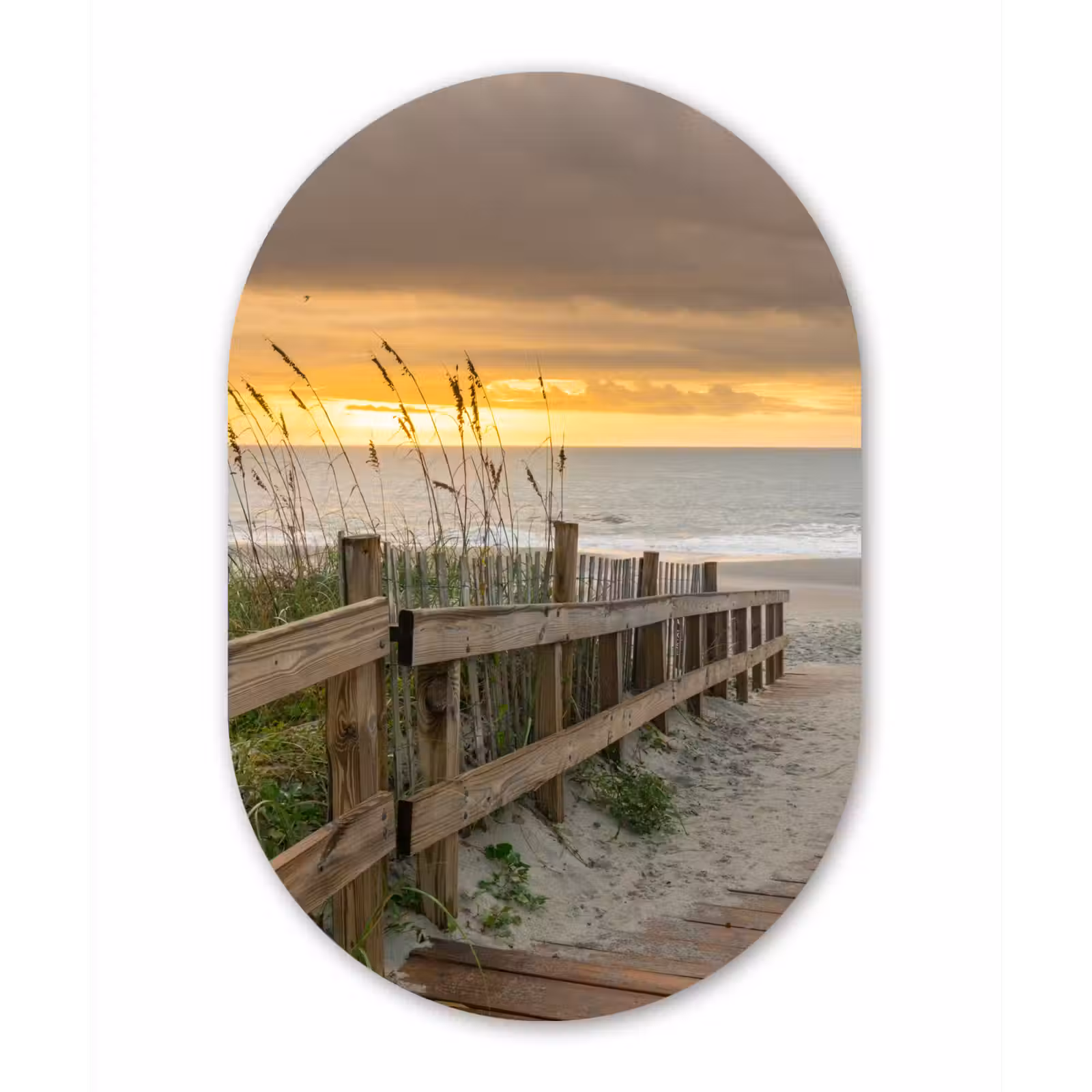 Muurovaal - Strand - Zee - Duin - Pad — 1