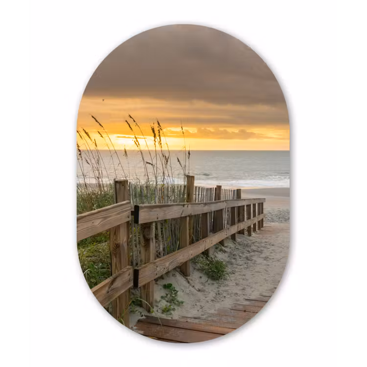 Muurovaal - Strand - Zee - Duin - Pad — 1