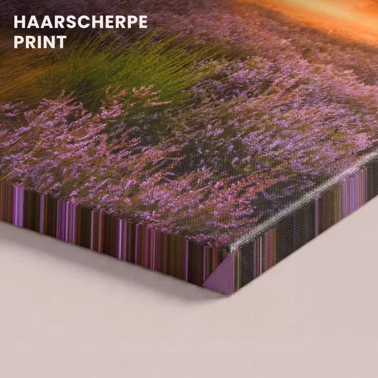 Canvas schilderij - Heidelandschap met een boom — 5