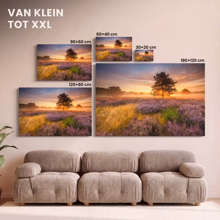 Canvas schilderij - Heidelandschap met een boom — 8