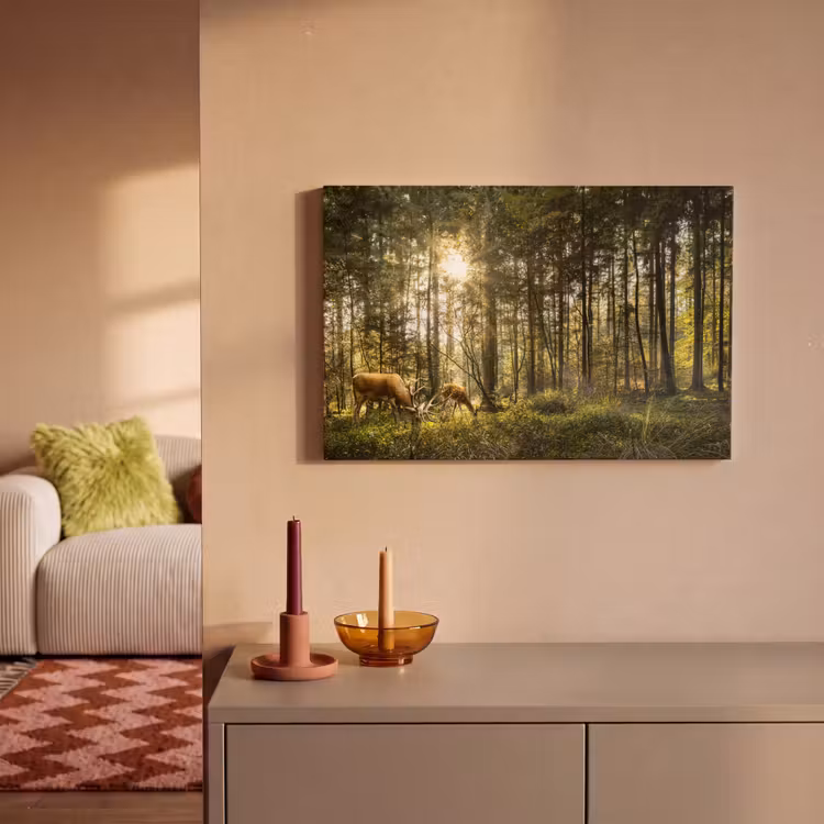 Canvas schilderij - Hert - Natuur - Bos — 2
