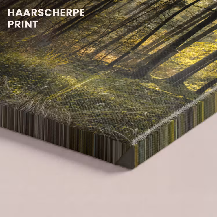 Canvas schilderij - Hert - Natuur - Bos — 5