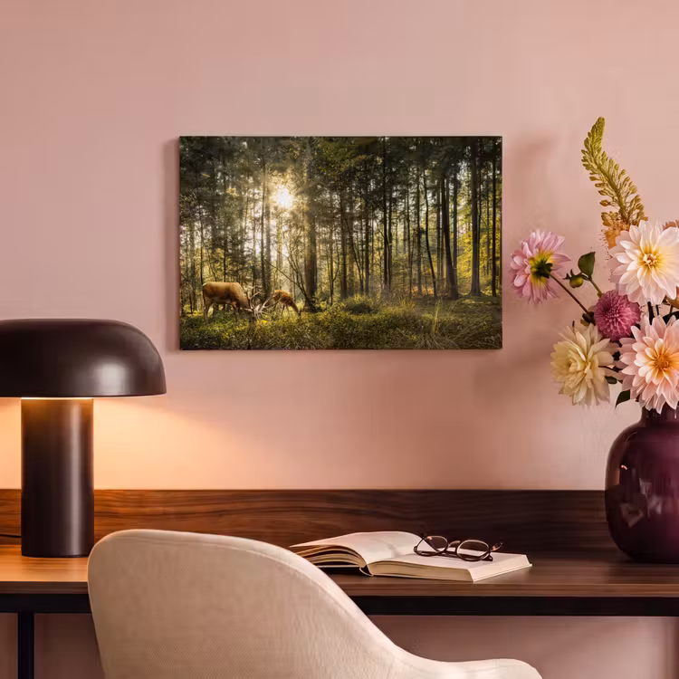 Canvas schilderij - Hert - Natuur - Bos — 6
