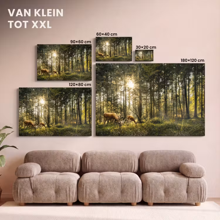 Canvas schilderij - Hert - Natuur - Bos — 8
