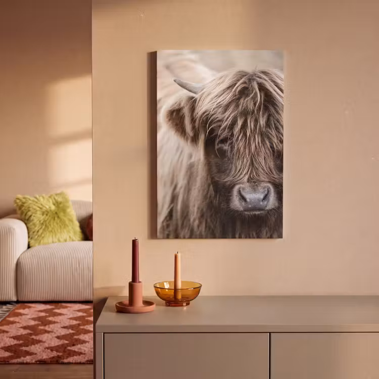 Canvas schilderij - Schotse Hooglander - Dieren - Hoorn — 2