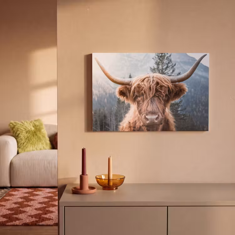 Canvas schilderij - Schotse hooglander - Bergen - Portret — 2