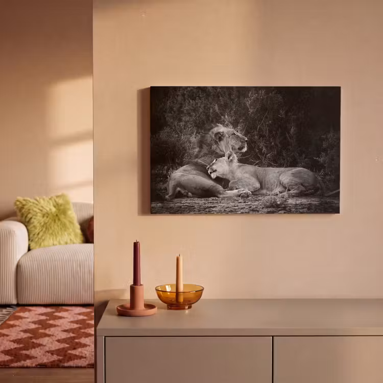 Canvas schilderij - Leeuwen - Zwart - Wilde dieren — 2