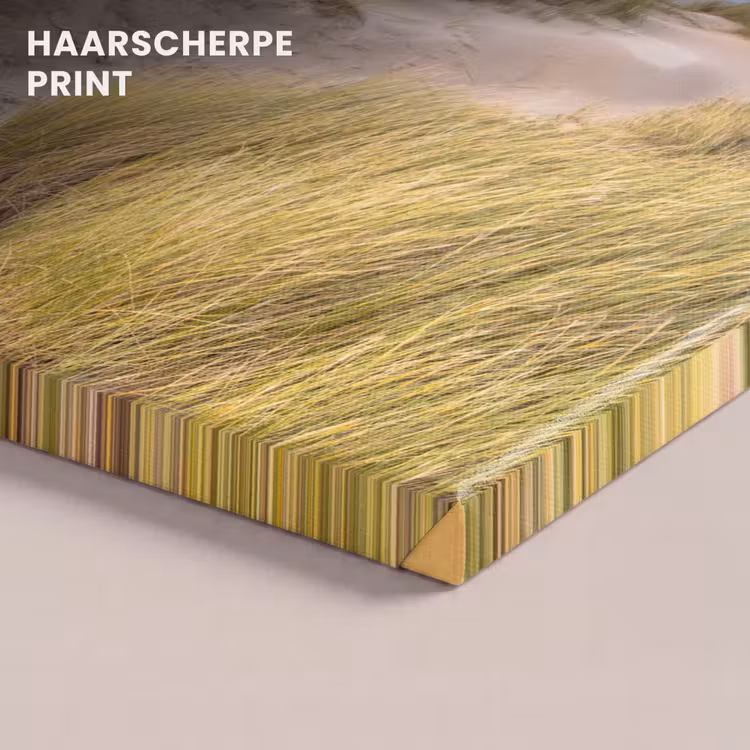 Canvas schilderij - Strand - Zee - Duin - Zonsondergang — 5