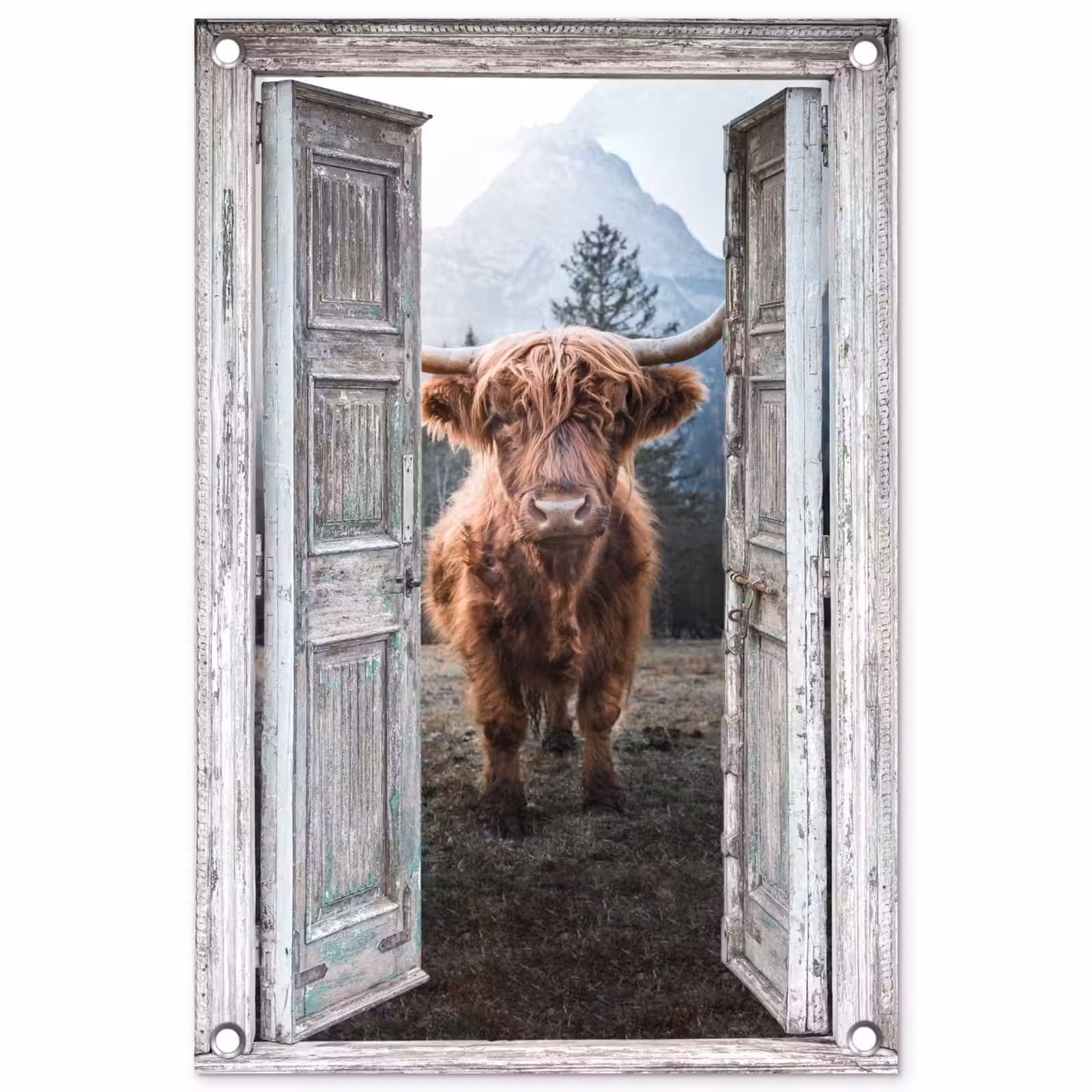 Tuinposter - Oude deuren naar Schotse Hooglander — 1
