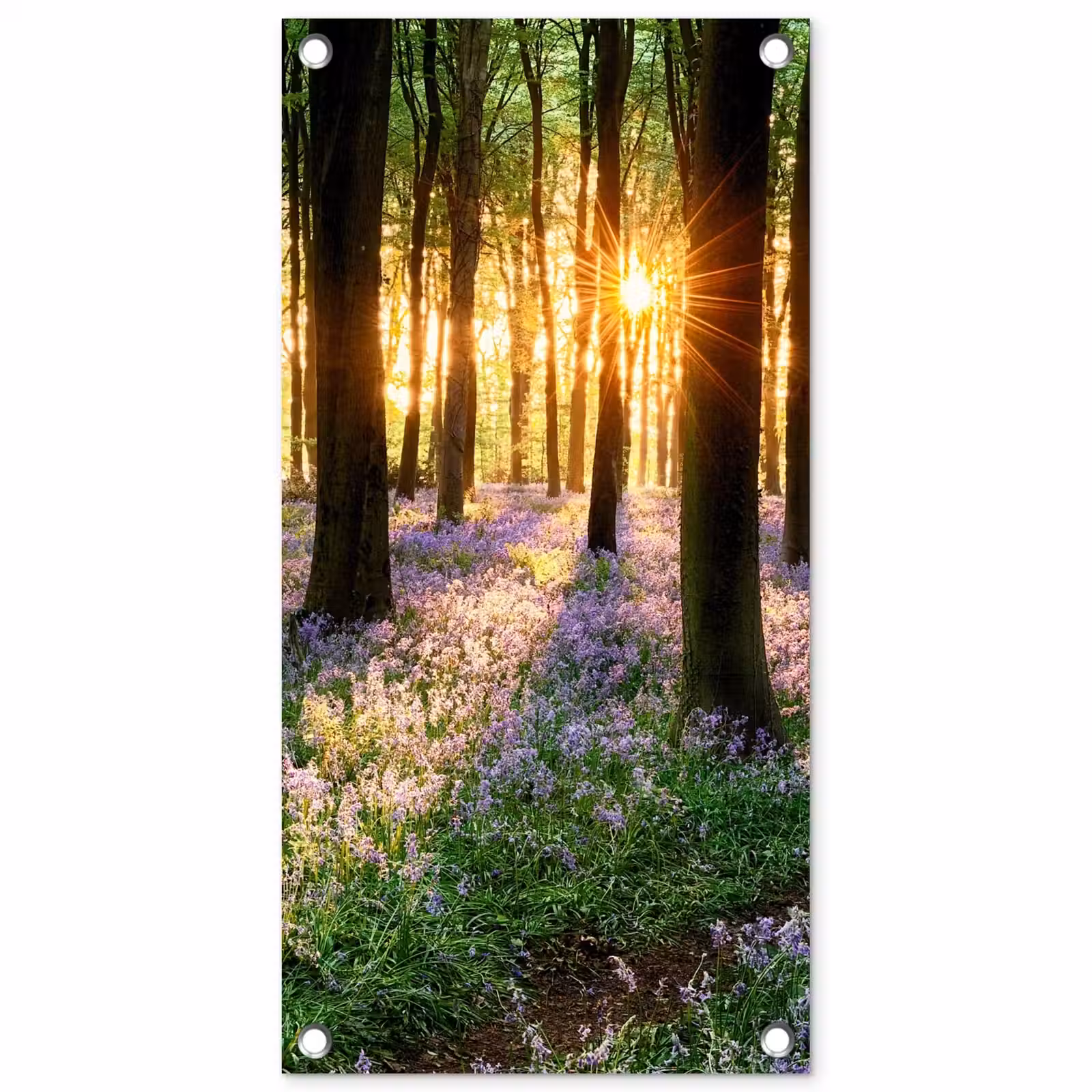 Tuinposter - Bloemenzee in het ochtendlicht — 1