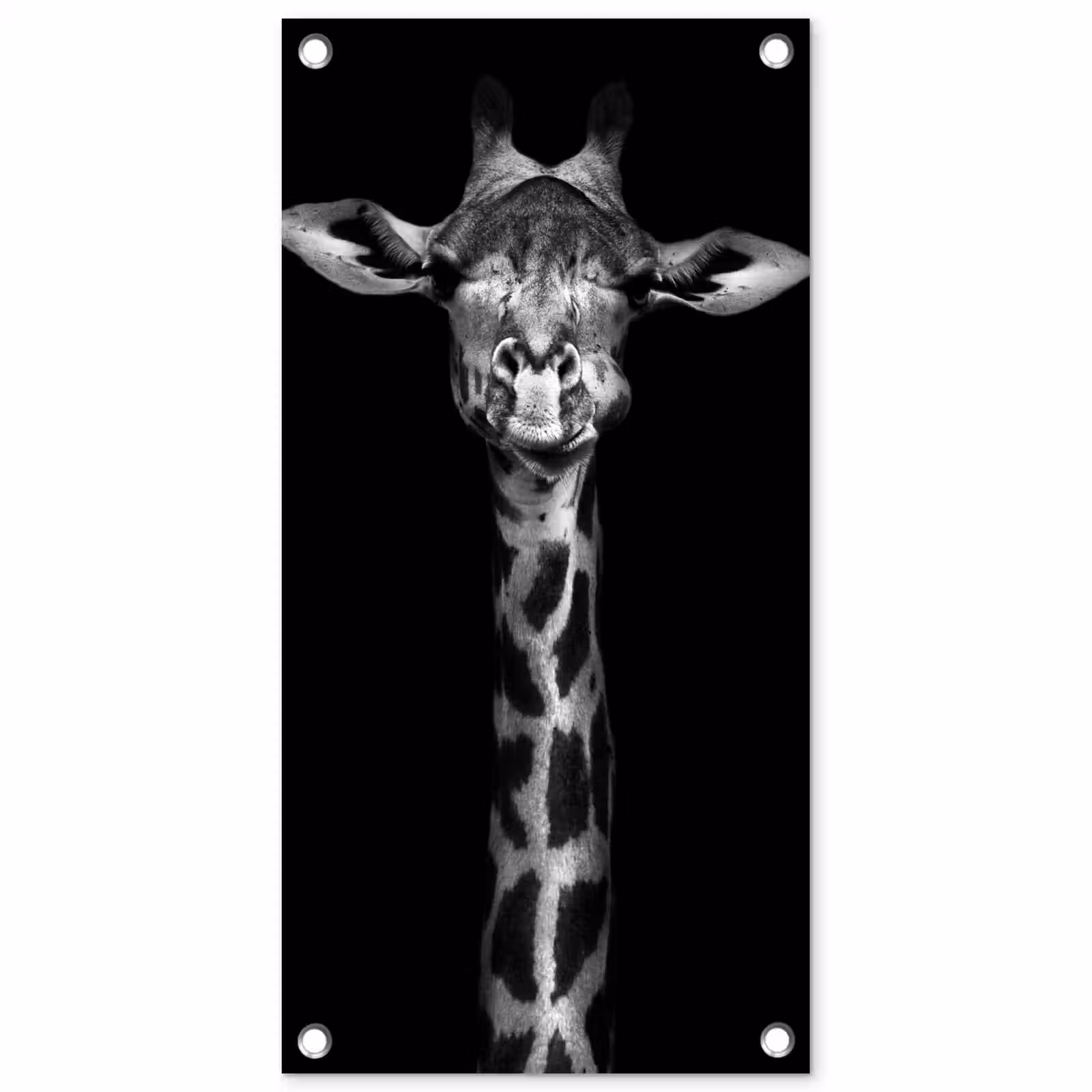 Tuinposter - Zwart-wit portret van een giraffe — 1
