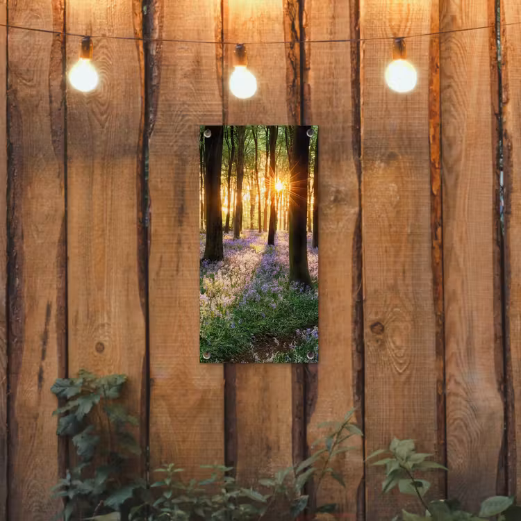 Tuinposter - Bloemenzee in het ochtendlicht — 2