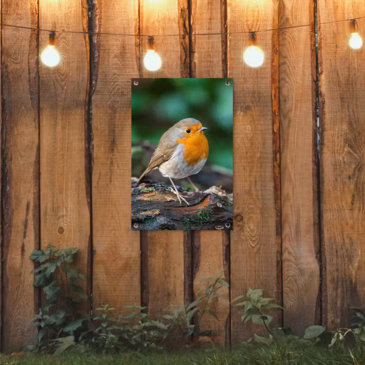 Tuinposter - Roodborstje op een Boomstam — 2