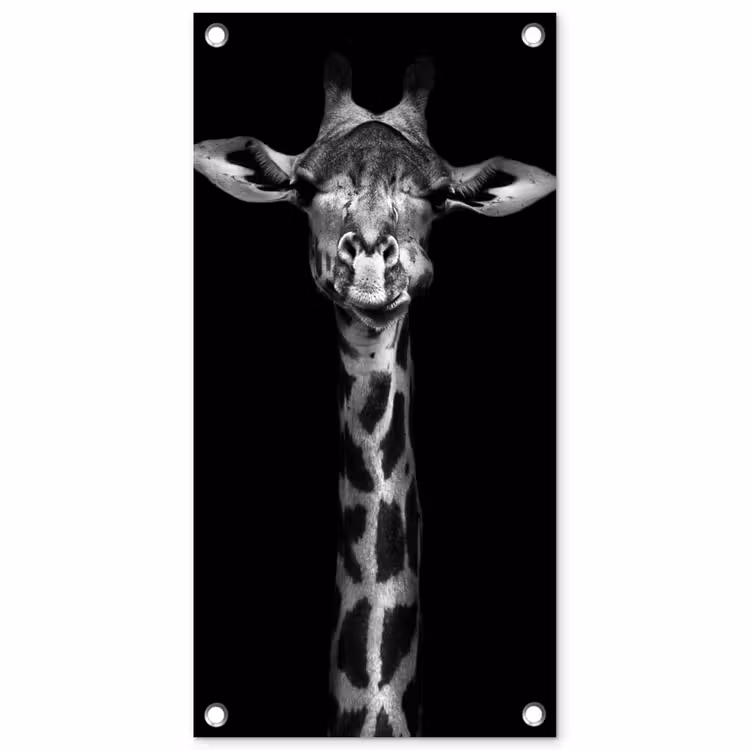 Tuinposter - Zwart-wit portret van een giraffe — 1