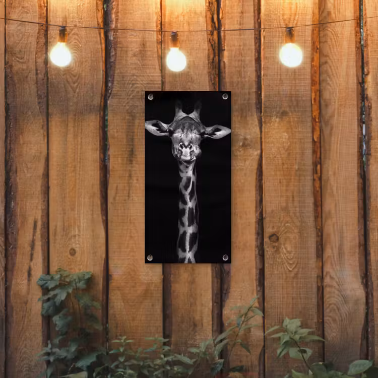 Tuinposter - Zwart-wit portret van een giraffe — 2