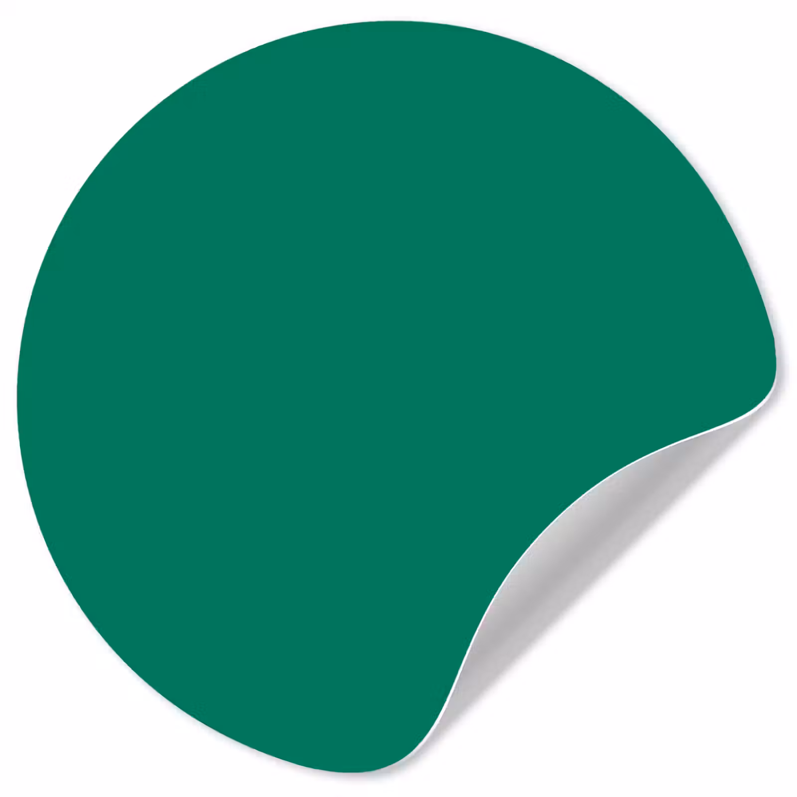 Behangcirkel - Groen - Bos - Kleuren — 1
