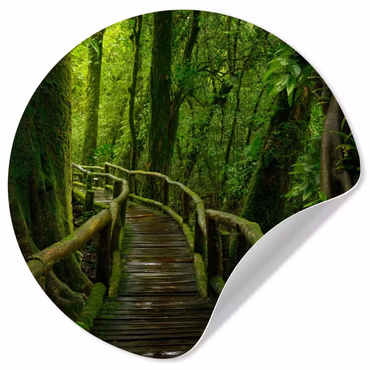 Behangcirkel - Jungle - Brug - Mos - Natuur - Tropisch — 1