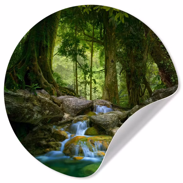 Behangcirkel - Jungle - Stenen - Water - Natuur - Planten — 1