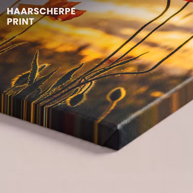 Canvas schilderij - Rode papavers bij een zonsopkomst — 5