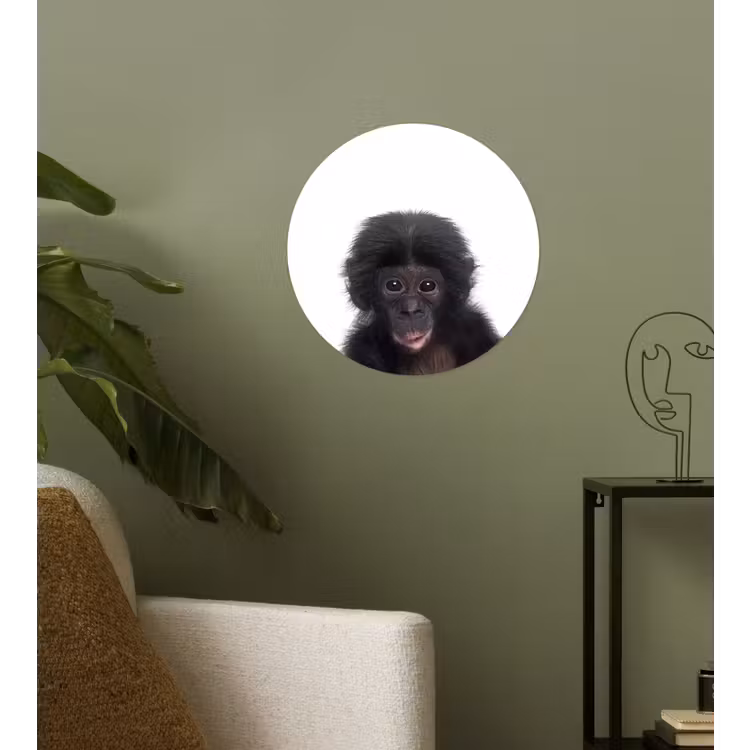 Behangcirkel - Aap - Dieren - Chimpansee - Kind - Jongen — 3