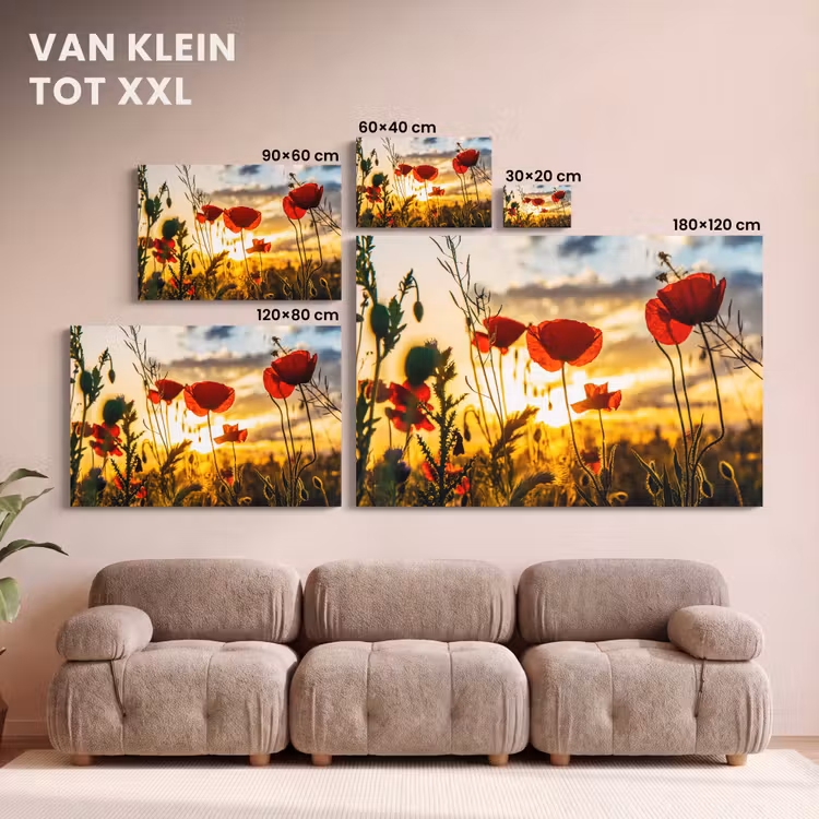 Canvas schilderij - Rode papavers bij een zonsopkomst — 8
