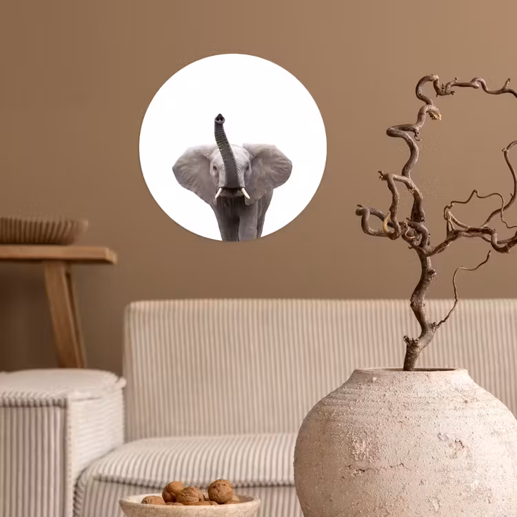 Behangcirkel - Dieren - Olifant- Wit - Wilde dieren - Kinderen — 2