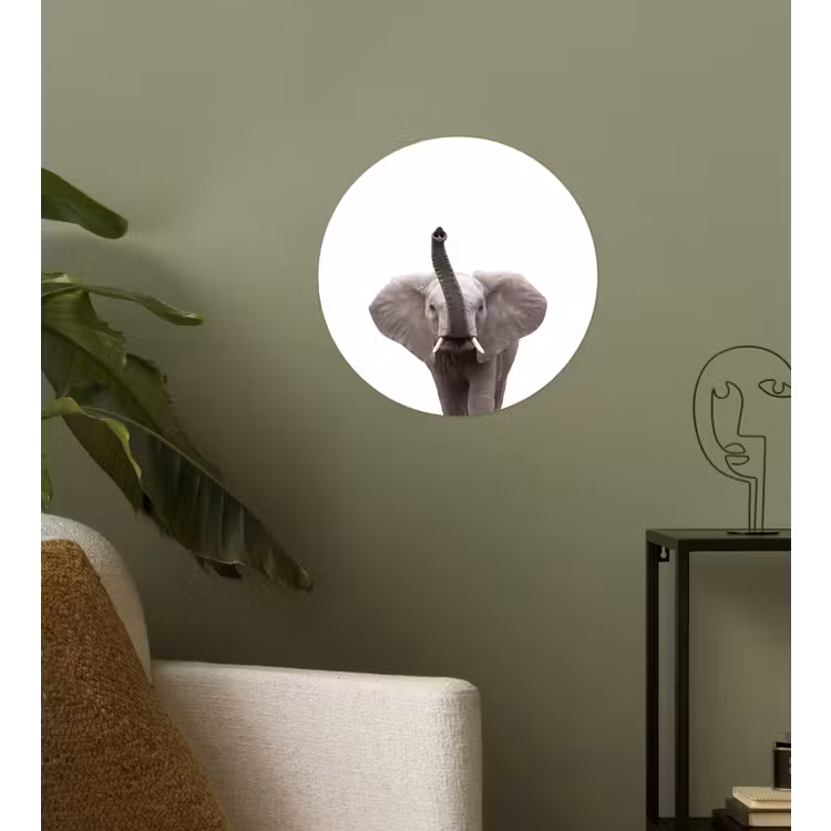 Behangcirkel - Dieren - Olifant- Wit - Wilde dieren - Kinderen — 3