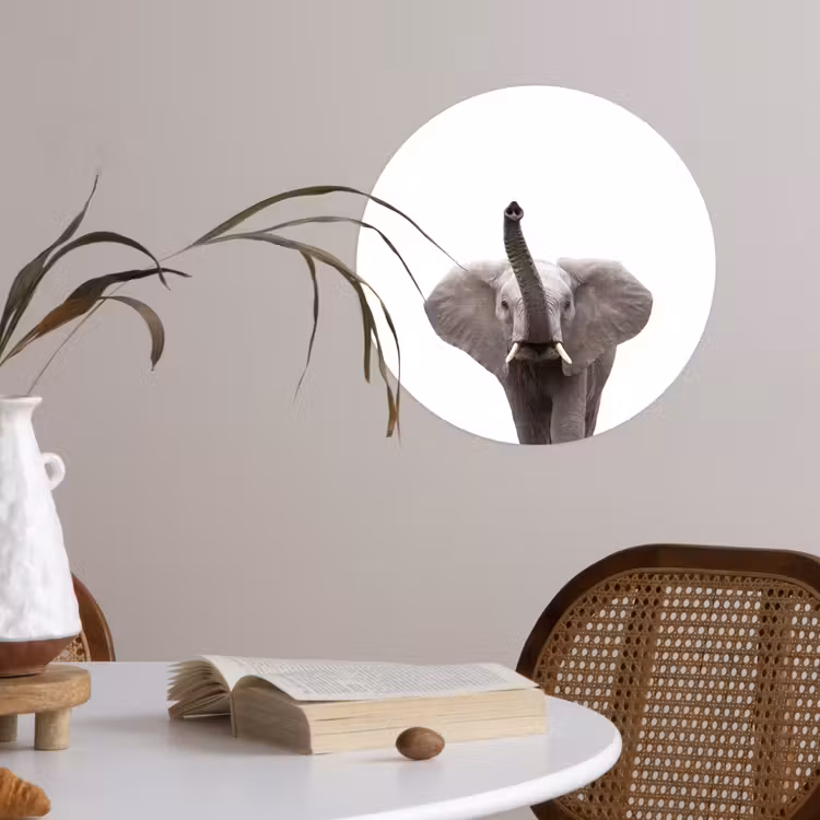 Behangcirkel - Dieren - Olifant- Wit - Wilde dieren - Kinderen — 4