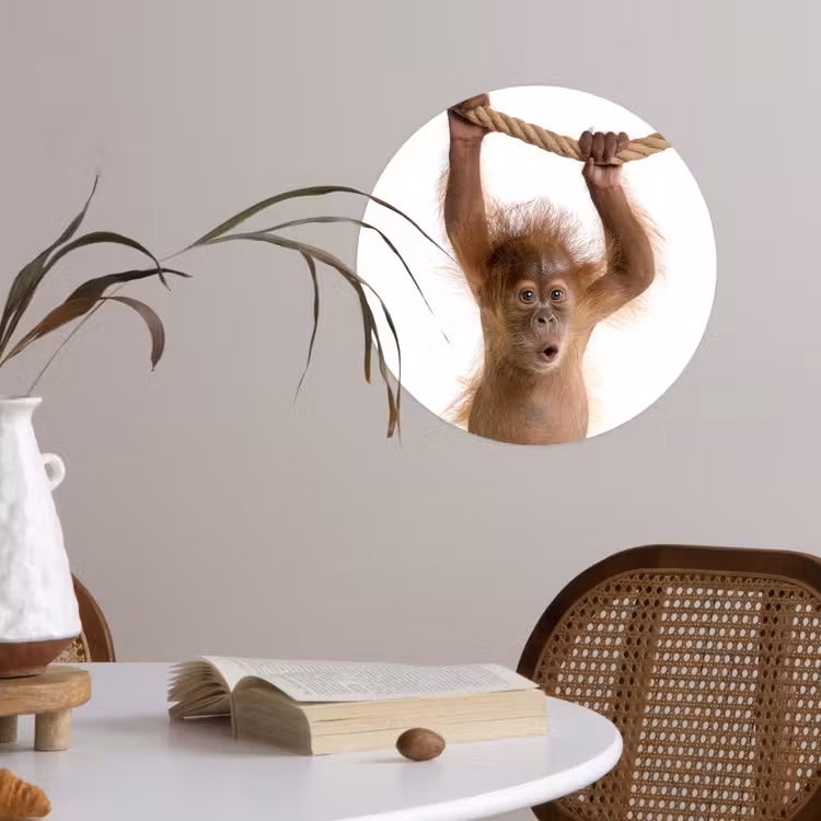 Behangcirkel - Dieren - Orang oetan - Touw - Dieren - Kinderen - Jongen — 4