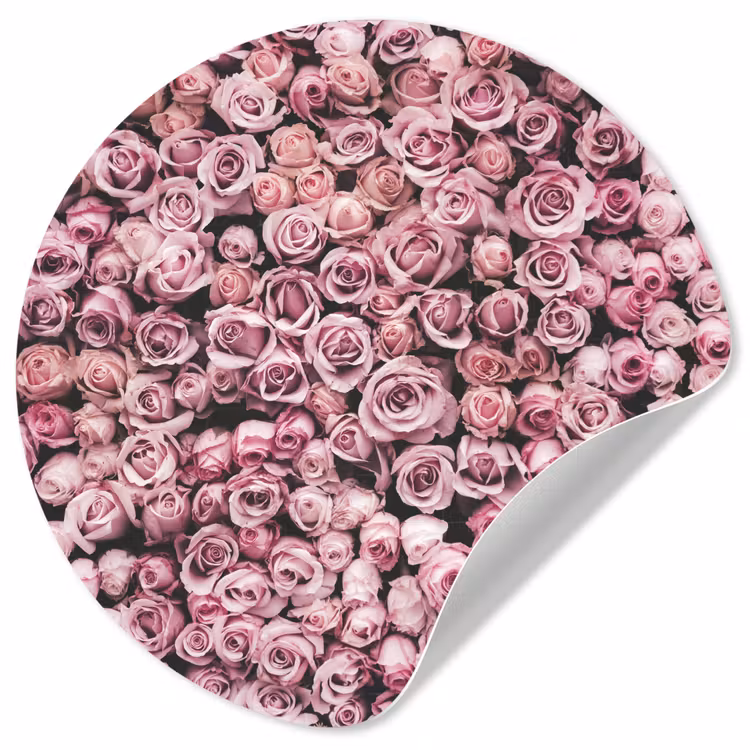 Behangcirkel - Bloemen - Rozen - Natuur - Roze - Botanisch — 1