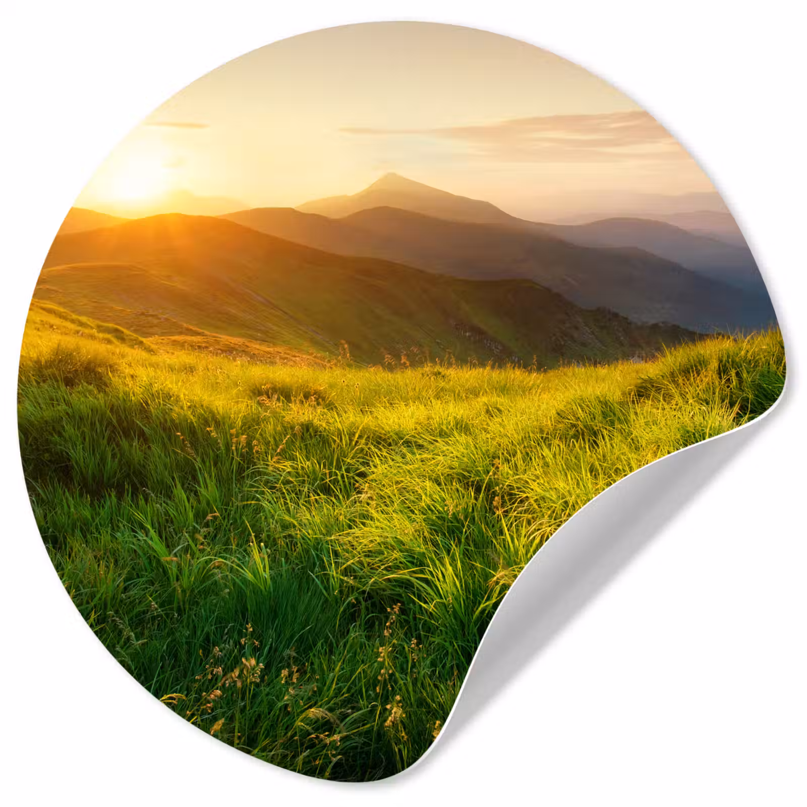 Behangcirkel - Gras - Heuvels - Zon - Natuur - Landschap — 1