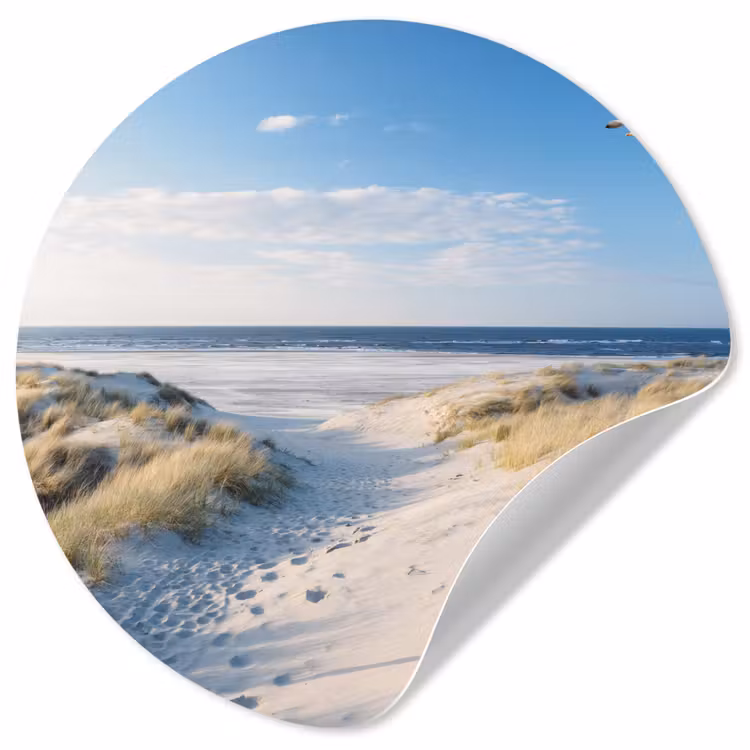 Behangcirkel - Duin - Meeuw - Strand - Zee - Zon — 1