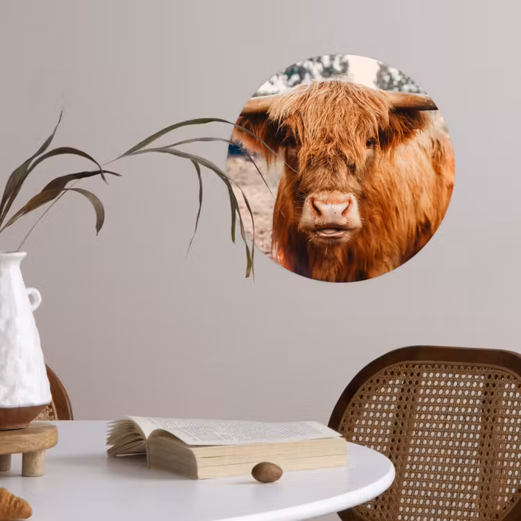 Behangcirkel - Koe- Schotse hooglander - Hoorns - Bruin - Landschap — 4
